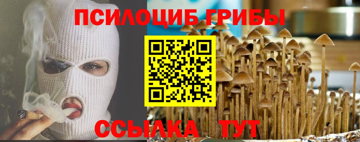 Галлюциногенные грибы мухоморы Рузаевка